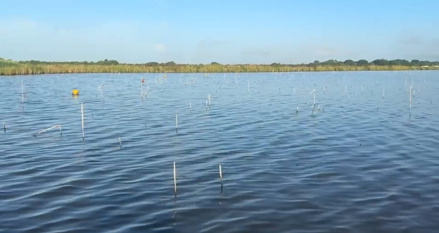 The farm ponds, Louisiana